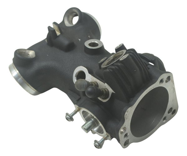 Corpo Injeção Harley Softail Fat Boy 12-15 Original