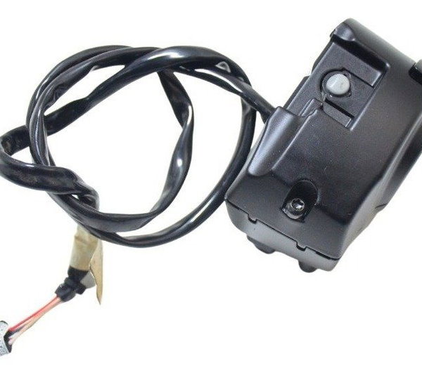 Chave Punho Luz Harley Touring Road Glide 114 21-22