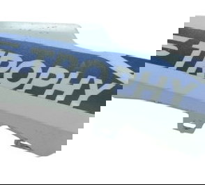 Bico Frontal Esq C/ Avaria Bmw R1250 R 1250 Adv 19-24 Orig Branco