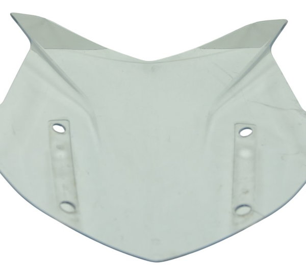 Bolha Parabrisa C/ Detalhes Bmw R1250 R 1250 Adv 19-24 Orig