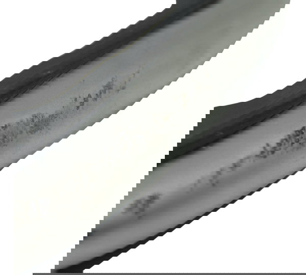 Protetor Motor Direito C/detal Bmw R 1250 Adv 19-24 Original