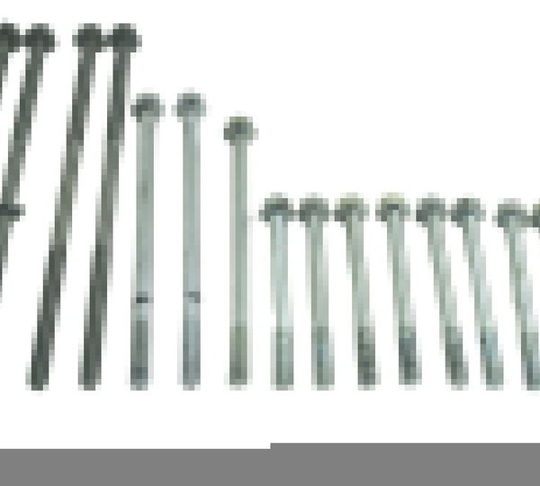 Kit Parafuso Motor Honda Vt Shadow 600 C 95-05 Original