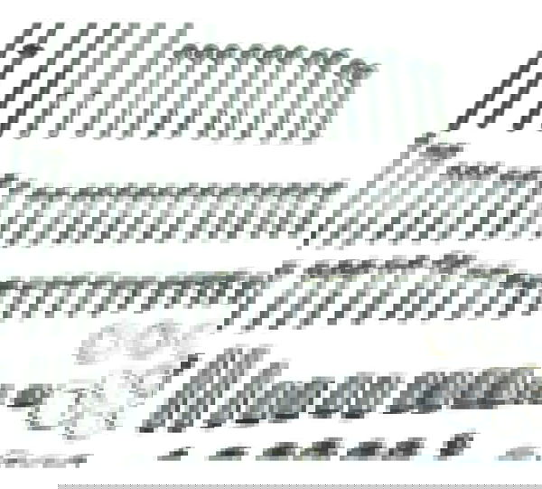 Kit Parafuso Motor Honda Vt Shadow 600 C 95-05 Original