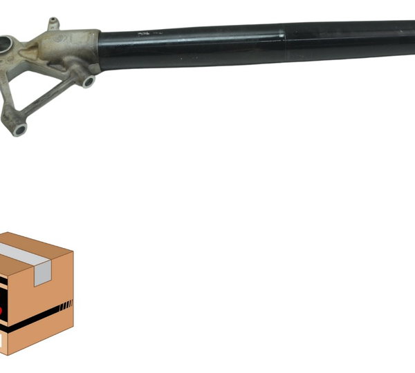 Canela E Tubo Bengala Bmw R 1250 Gs Adv 19-24 Original
