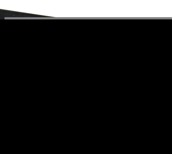 Quadro Elástico C/ Detalhes Bmw F 800 Gs 13-16 Original