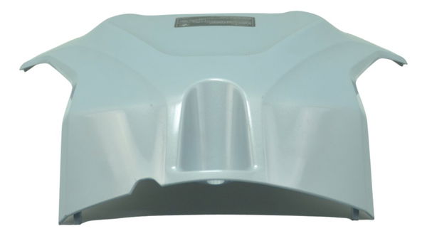 Capa Central Tanque Bmw S 1000 Rr 20-23 Original