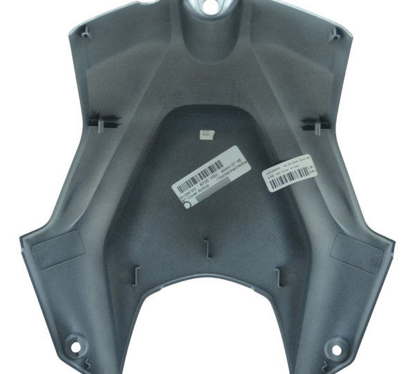 Capa Central Tanque Bmw S 1000 Rr 20-23 Original