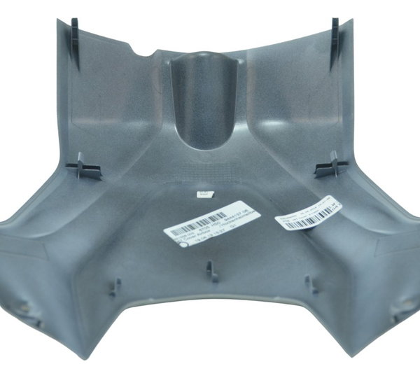 Capa Central Tanque Bmw S 1000 Rr 20-23 Original