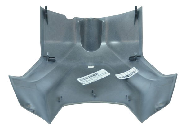 Capa Central Tanque Bmw S 1000 Rr 20-23 Original