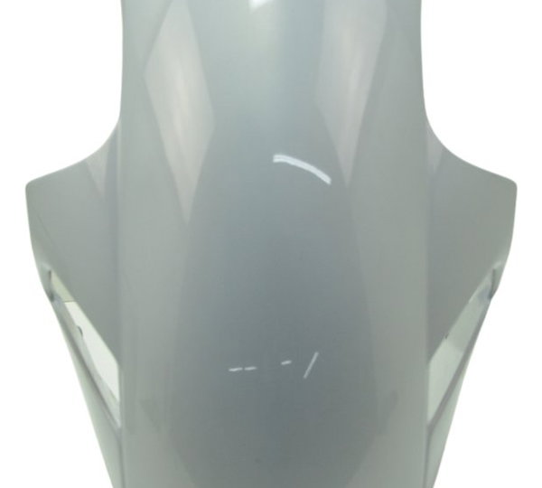 Paralama Dianteiro Bmw S 1000 Rr 20-23 Original Dianteira