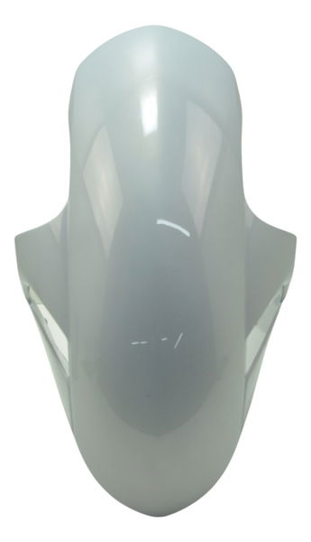 Paralama Dianteiro Bmw S 1000 Rr 20-23 Original Dianteira