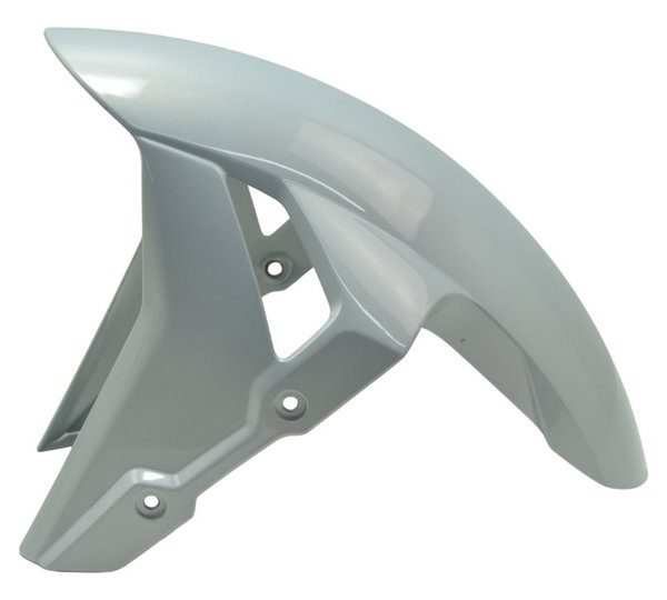 Paralama Dianteiro Bmw S 1000 Rr 20-23 Original Dianteira