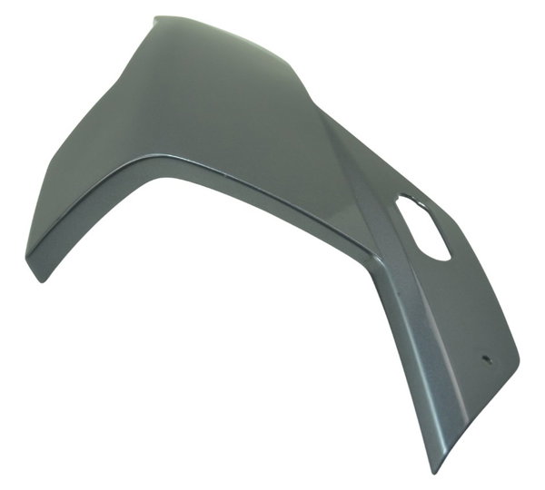 Carenagem Superior Esquerda Bmw S 1000 Rr 20-23 Original Cinza