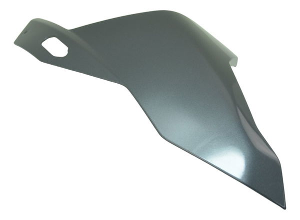 Carenagem Superior Esquerda Bmw S 1000 Rr 20-23 Original Cinza