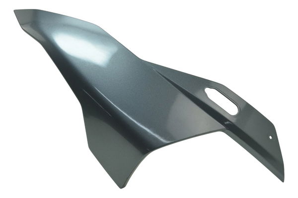 Carenagem Superior Esquerda Bmw S 1000 Rr 20-23 Original Cinza