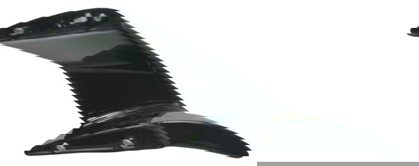 Asa Direita C/ Detalhes Bmw S 1000 Rr 20-25 Original Preto