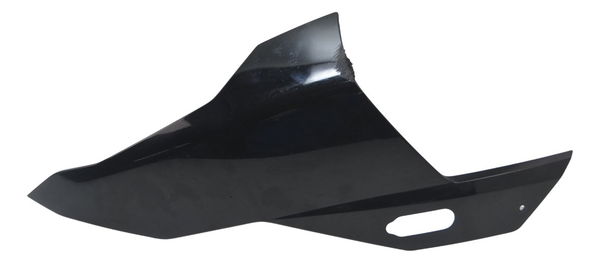 Carenagem Lateral Esq C/ Detalhes Bmw S 1000 Rr 20-23 Orig Preto