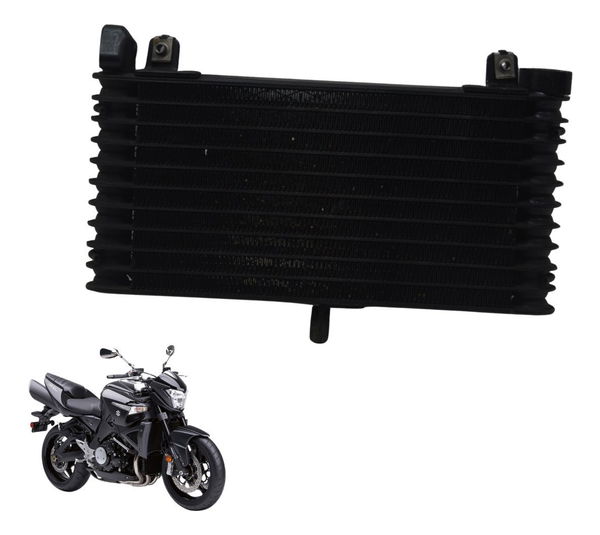 Radiador Óleo Suzuki Gsx 1300 B King 09-16 Original