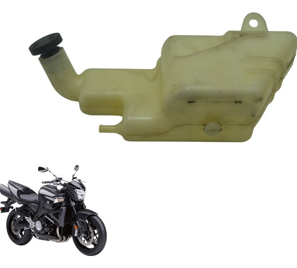 Reservatório Água Suzuki Gsx 1300 B King 09-16 Original