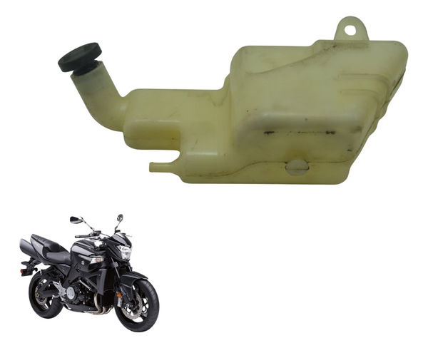 Reservatório Água Suzuki Gsx 1300 B King 09-16 Original