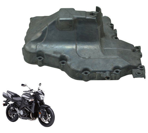 Tampa Carter Suzuki Gsx 1300 B King 09-16 Original