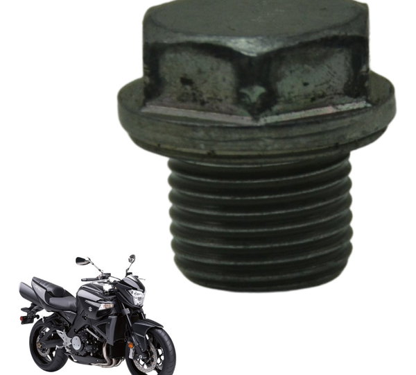 Parafuso Tampa Carter Suzuki Gsx 1300 B King 09-16 Original