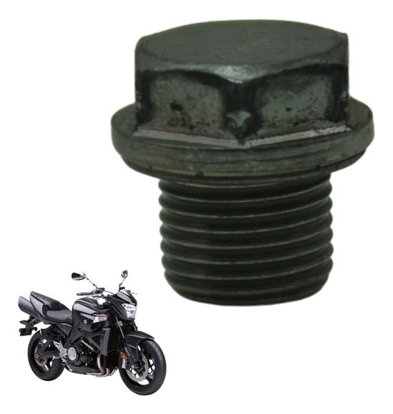 Parafuso Tampa Carter Suzuki Gsx 1300 B King 09-16 Original