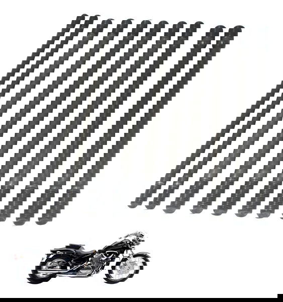 Kit Parafuso Prisioneiro Motor Honda Vt Shadow 600 C 95-05