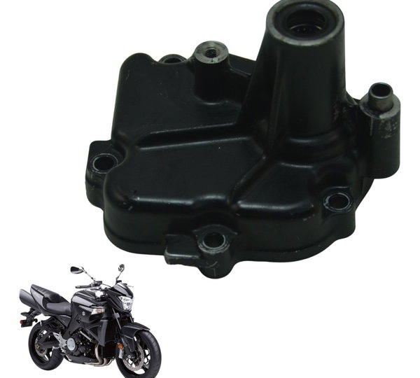 Carcaça Tampa Eixo Suzuki Gsx 1300 B King 09-16 Original Preto
