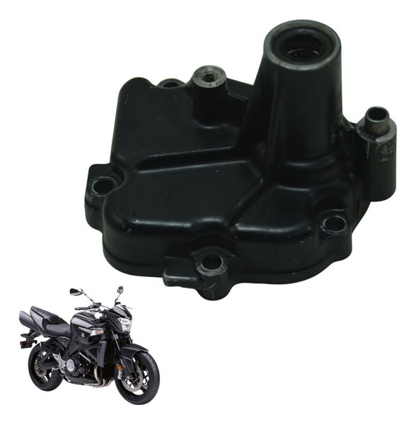Carcaça Tampa Eixo Suzuki Gsx 1300 B King 09-16 Original Preto