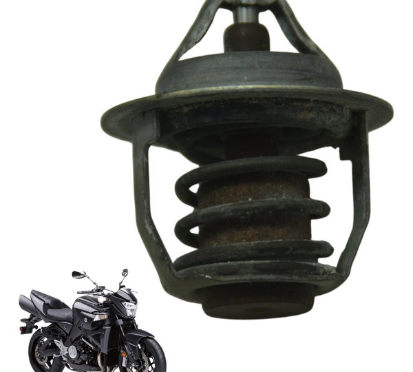 Válvula Termostática Suzuki Gsx 1300 B King 09-16 Original