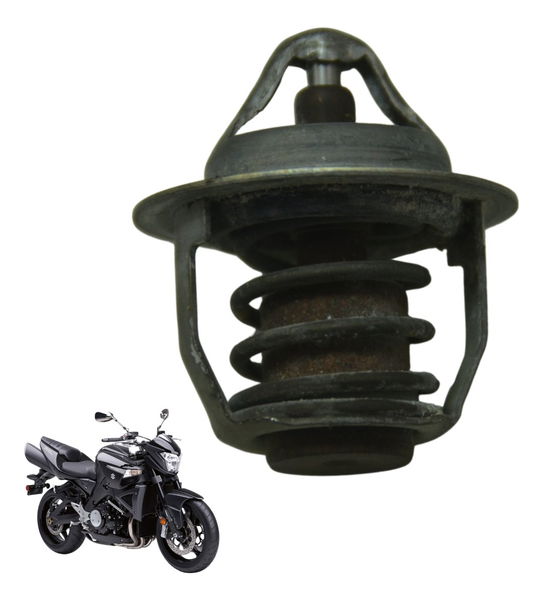 Válvula Termostática Suzuki Gsx 1300 B King 09-16 Original