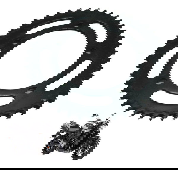 Coroa 44 Dentes Suzuki Gsx 1300 B King 09-16 Original