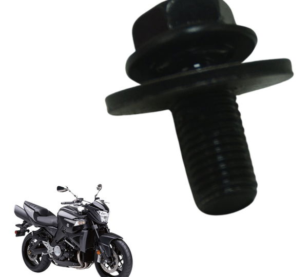 Parafuso Volante Magneto Suzuki Gsx 1300 B King 09-16 Orig