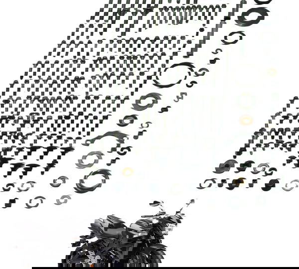 Kit Parafuso Motor Suzuki Gsx 1300 B King 09-16 Original