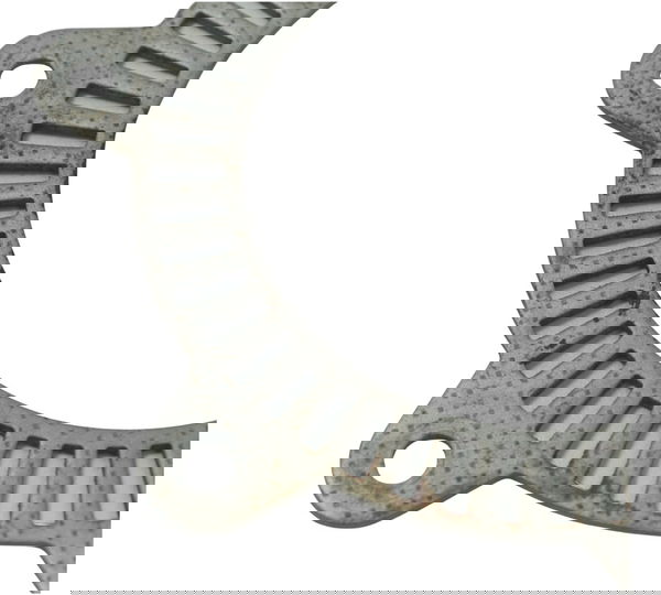 Roda Fônica Dianteira Bmw G 650 Gs 12-16 Original