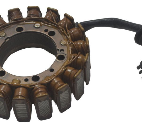 Estator Bmw G 650 Gs 12-16 Original