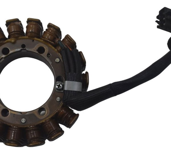 Estator Bmw G 650 Gs 12-16 Original