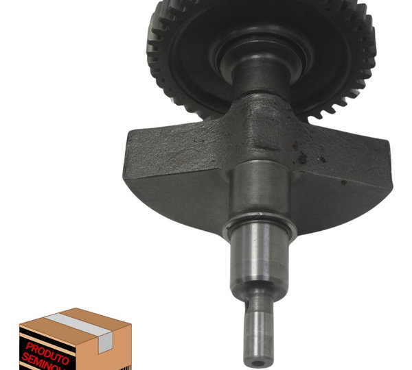 Balanceiro Virabrequim Bmw G 650 Gs 12-16 Original