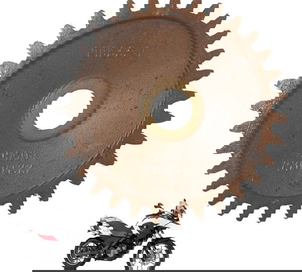 Engrenagem Motor Bomba Óleo Bmw G 650 Gs 12-16 Original