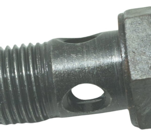 Parafuso Cano Óleo Bmw G 650 Gs 12-16 Original