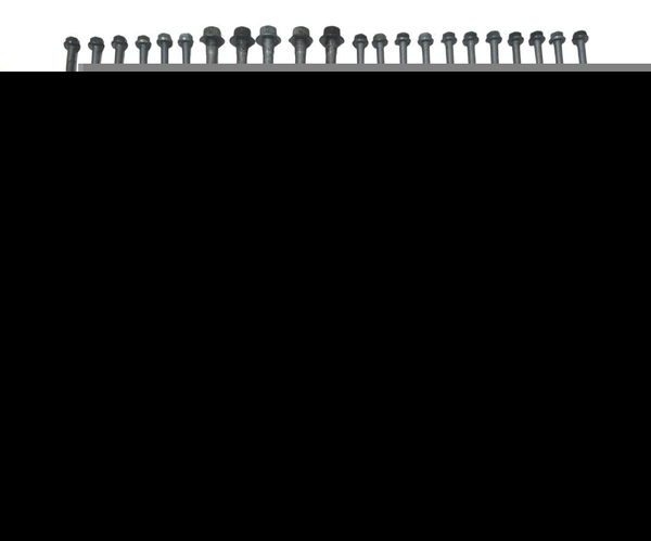 Kit Parafusos Motor Bmw G 650 Gs 12-16 Original