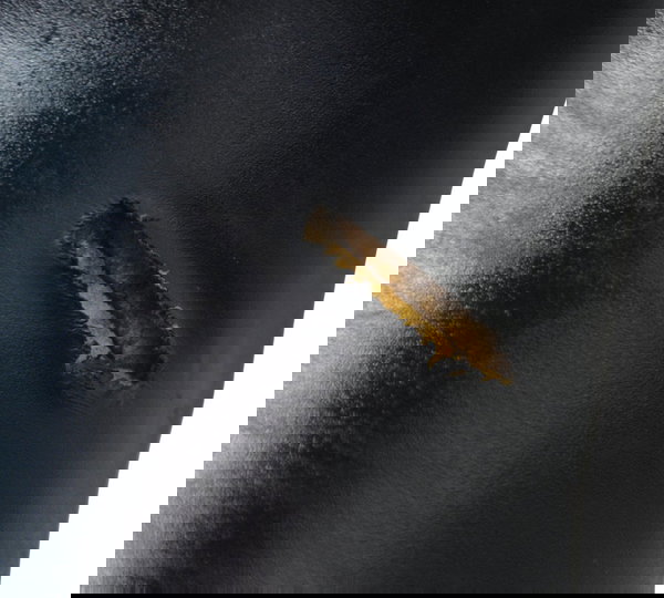 Banco Dianteiro C/ Detalhes Yamaha Mt 03 16-19 Original Preto