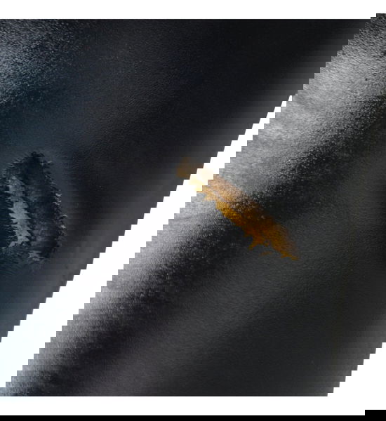 Banco Dianteiro C/ Detalhes Yamaha Mt 03 16-19 Original Preto