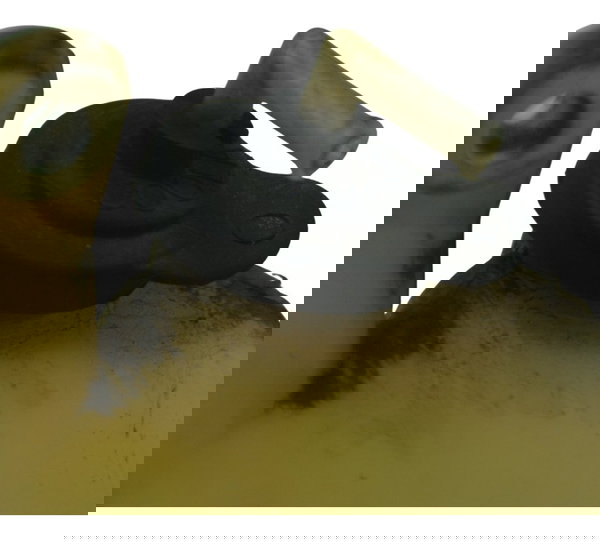 Reservatório Água Yamaha Mt 03 16-19 Original