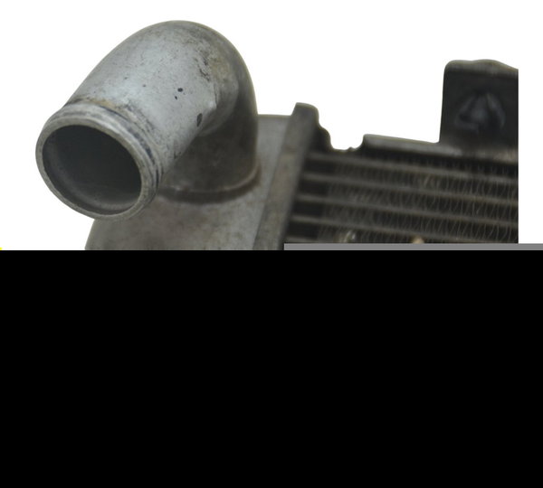 Radiador C/ Detalhes Yamaha Mt 03 16-19 Original