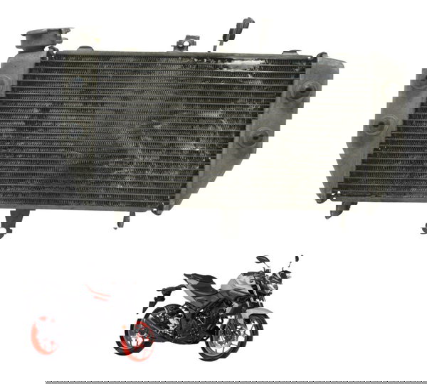 Radiador C/ Detalhes Yamaha Mt 03 16-19 Original