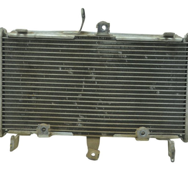 Radiador Yamaha Mt 03 16-19 Original