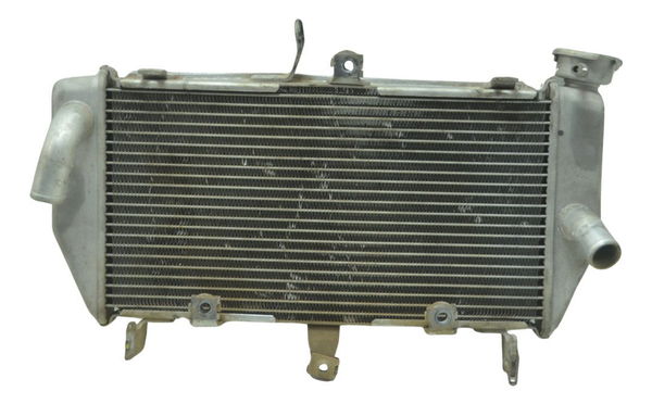 Radiador Yamaha Mt 03 16-19 Original