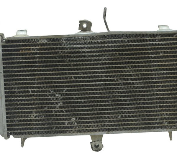Radiador Yamaha Mt 03 16-19 Original